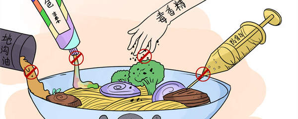 食品添加剂 特征、种类与安全使用